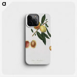 2-19_Pomona-Italiana_phone
