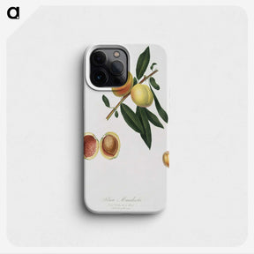 2-19_Pomona-Italiana_phone
