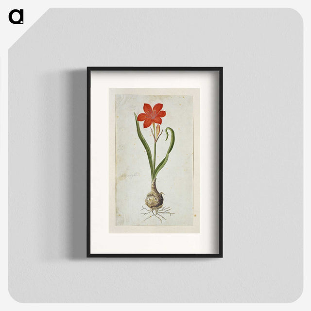 2-19_Robert-Jacob-Gordon_blk