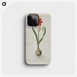 2-19_Robert-Jacob-Gordon_phone