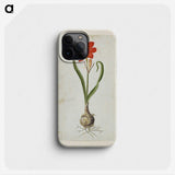 2-19_Robert-Jacob-Gordon_phone
