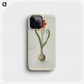 2-19_Robert-Jacob-Gordon_phone