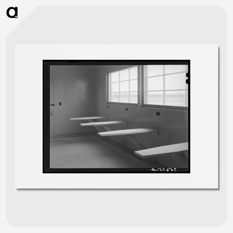2-19_Russell-Lee_picture