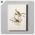 アートパネル-Song Sparrow from Birds of America
 - アメリカの鳥たち Canvas.