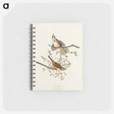 アートメモ帳-Song Sparrow from Birds of America
 - アメリカの鳥たち Memo.