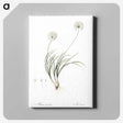 2-19_The-Lilies_canvas