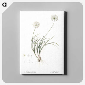 2-19_The-Lilies_canvas