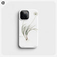 2-19_The-Lilies_phone
