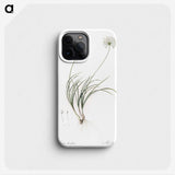 2-19_The-Lilies_phone