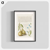 アートポスター-Pear and Creeping Forget Me Not
 - 書道のお手本 Poster.