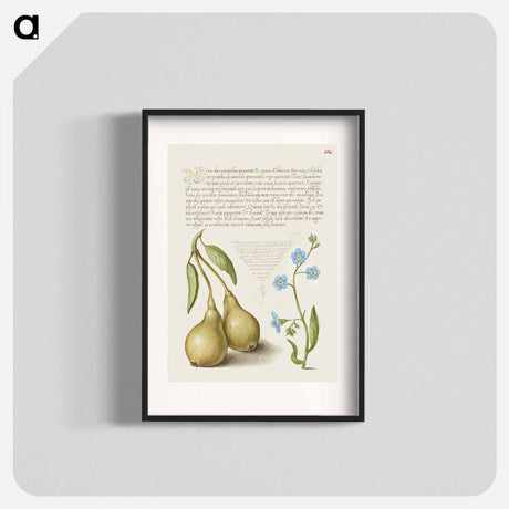 アートポスター-Pear and Creeping Forget Me Not
 - 書道のお手本 Poster.