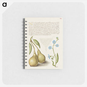 アートメモ帳-Pear and Creeping Forget Me Not
 - 書道のお手本 Memo.