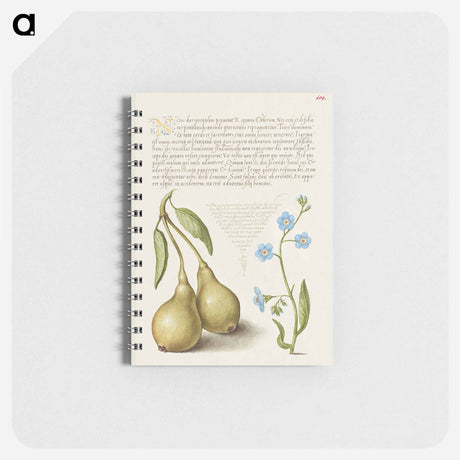 アートメモ帳-Pear and Creeping Forget Me Not
 - 書道のお手本 Memo.