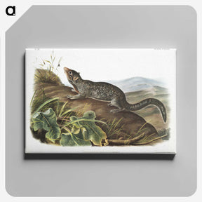 2-19_The-Viviparous-Quadrupeds_canvas