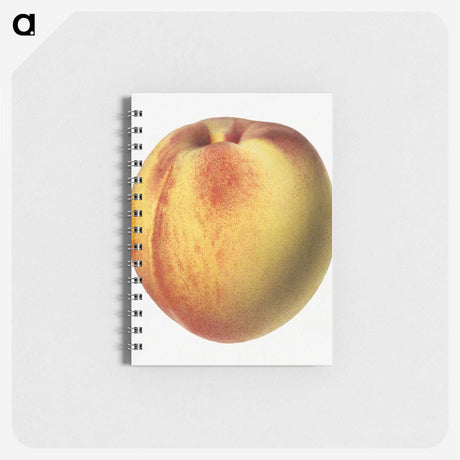 2-19_USDA-Watercolor-Fruit-Painting-Collection_memo