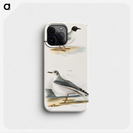 2-19_Zoology-of-New-York_phone