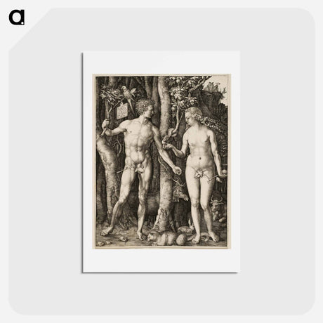 アートポストカード-Adam and Eve - アルブレヒト デューラー Postcard.