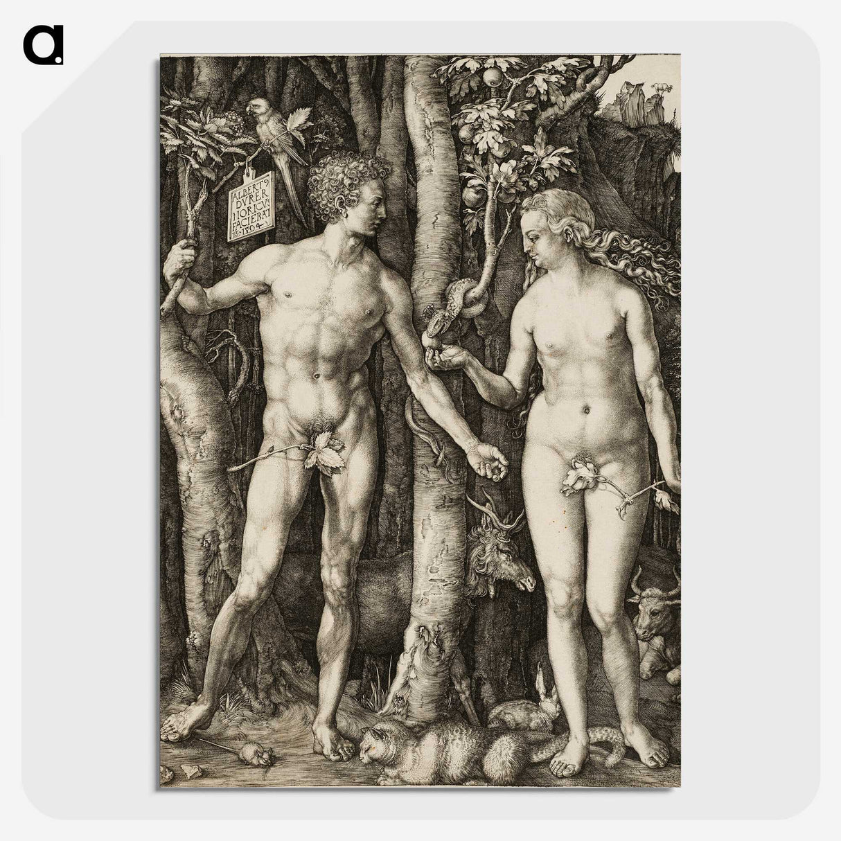 2-1_Albrecht-Durer_picture-crop