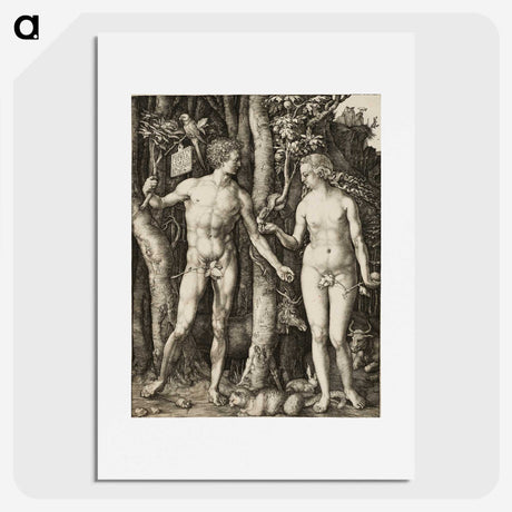 2-1_Albrecht-Durer_picture
