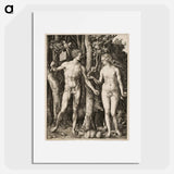 Adam and Eve - アルブレヒト デューラー Poster.