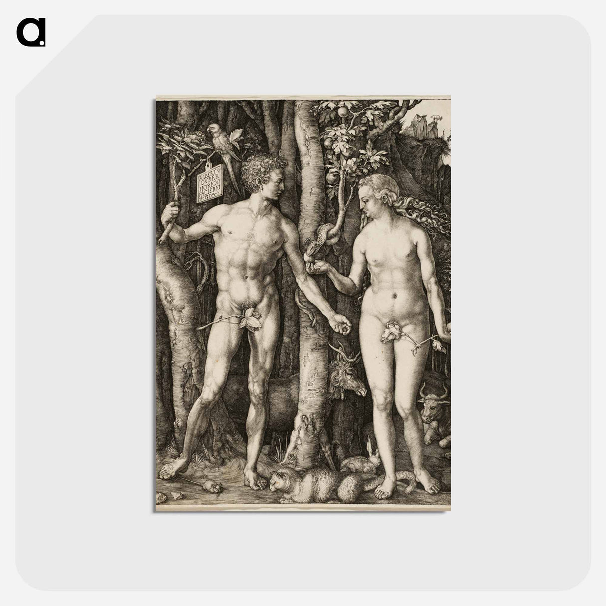 アートポストカード-Adam and Eve - アルブレヒト デューラー Postcard.