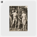 アートポストカード-Adam and Eve - アルブレヒト デューラー Postcard.
