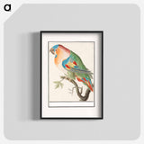 Parrot - アンセルムス ボエティウス デ ブート Poster.