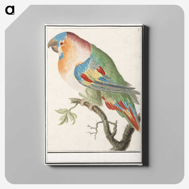 2-1_Anselmus-Boetius-de-Boodt_canvas