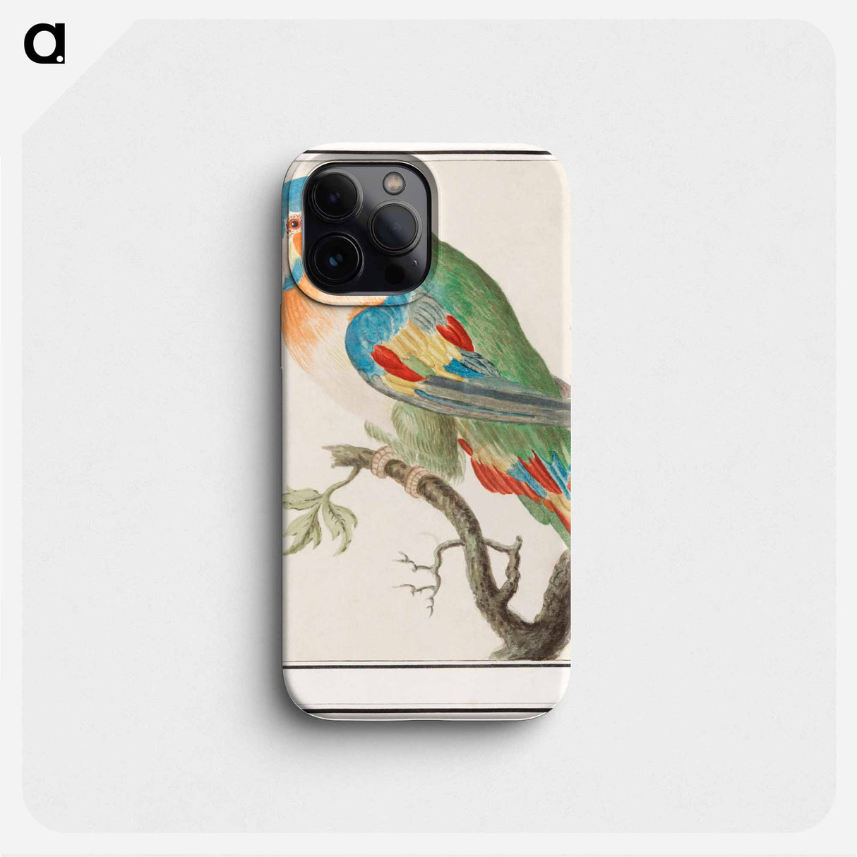 Parrot - アンセルムス ボエティウス デ ブート Phone Case.