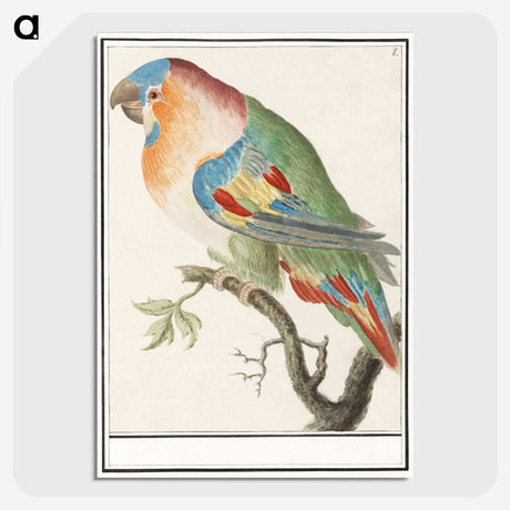 2-1_Anselmus-Boetius-de-Boodt_picture-crop