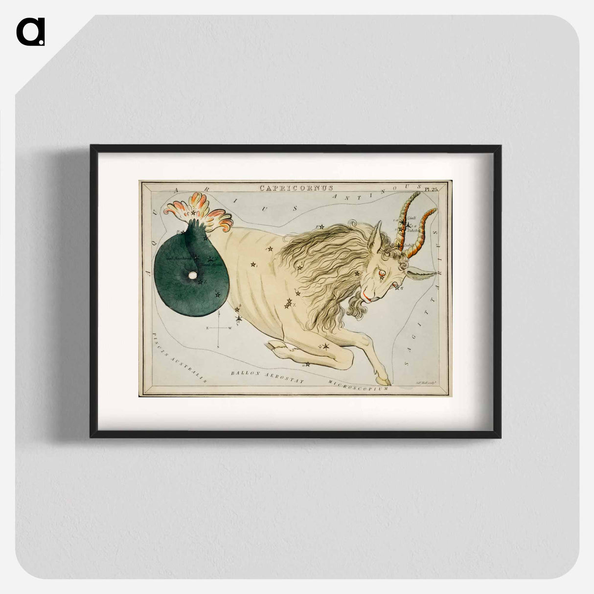 Sidney Hall’s astronomical chart illustration of the zodiac Capricornus - アンティーク地図 Poster.