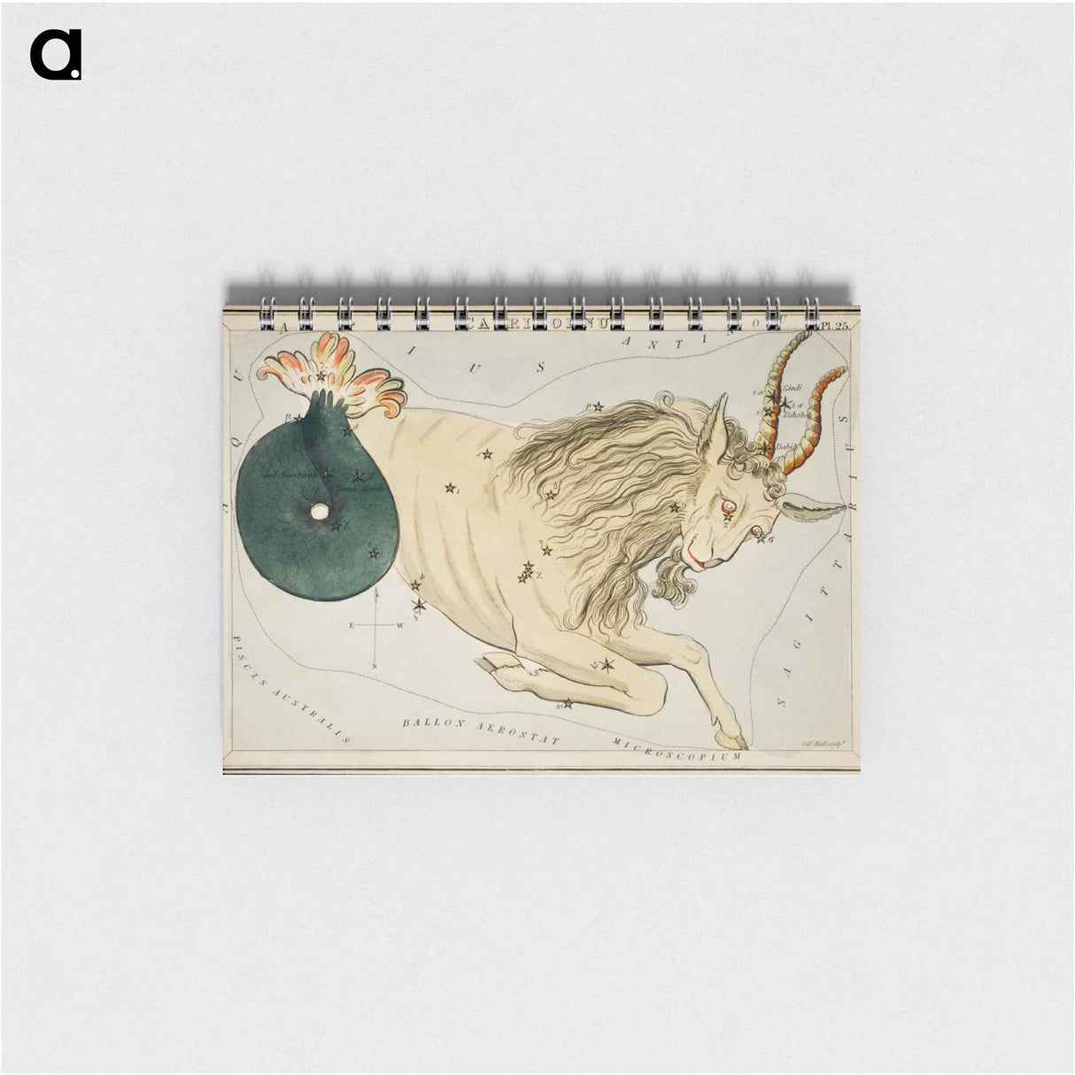 Sidney Hall’s astronomical chart illustration of the zodiac Capricornus - アンティーク地図 Memo.