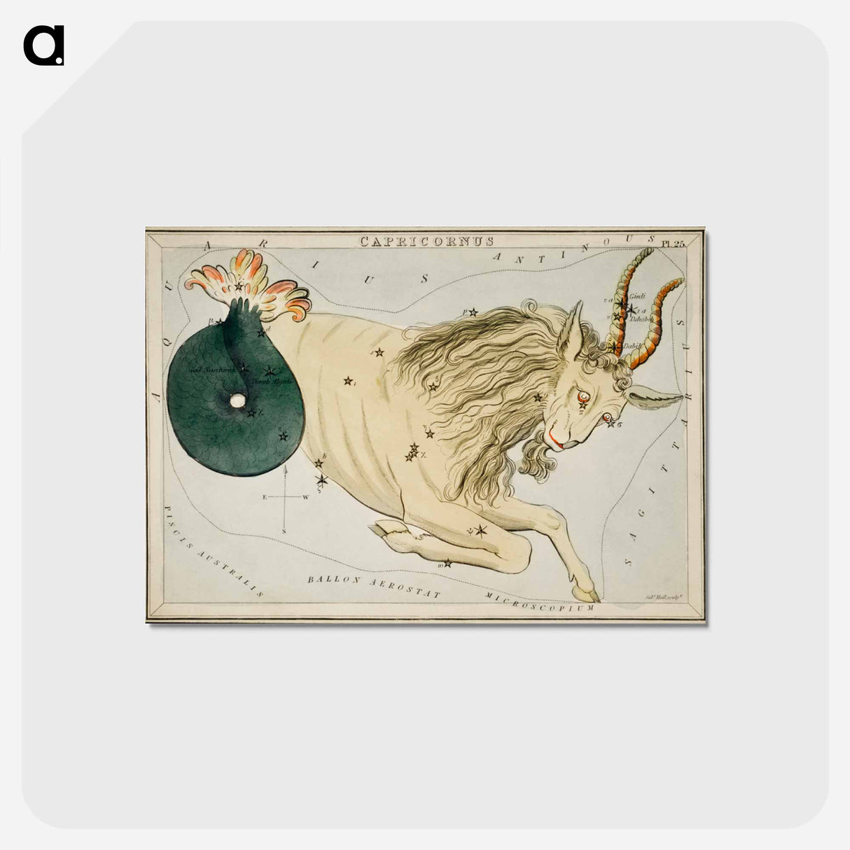 アートポストカード-Sidney Hall’s astronomical chart illustration of the zodiac Capricornus - アンティーク地図 Postcard.