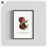 2-1_Botanical-Specimen-Plates_blk