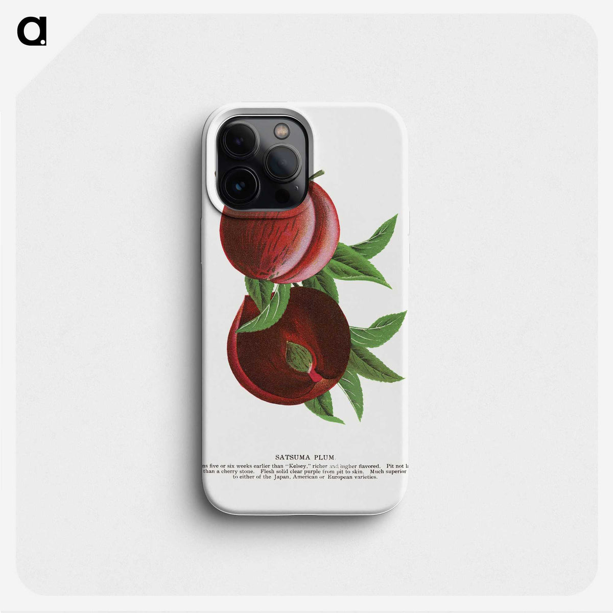 2-1_Botanical-Specimen-Plates_phone