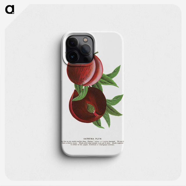2-1_Botanical-Specimen-Plates_phone
