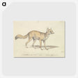 2-1_Charles-Hamilton-Smith_postcard