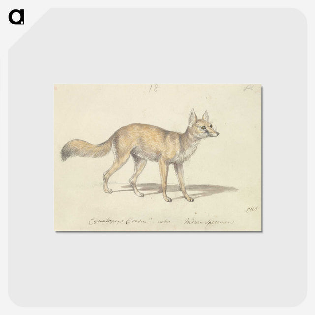 2-1_Charles-Hamilton-Smith_postcard
