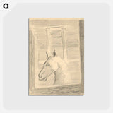 アートポストカード-Horse's Head
 - シプリアン マジェルニク Postcard.