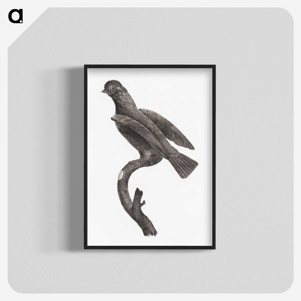 2-1_Des-Oiseaux-de-Paradis_blk-crop