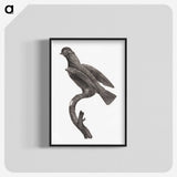 2-1_Des-Oiseaux-de-Paradis_blk-crop