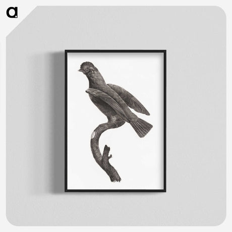 2-1_Des-Oiseaux-de-Paradis_blk-crop