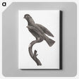2-1_Des-Oiseaux-de-Paradis_canvas