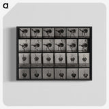 2-1_Eadweard-Muybridge_blk-crop