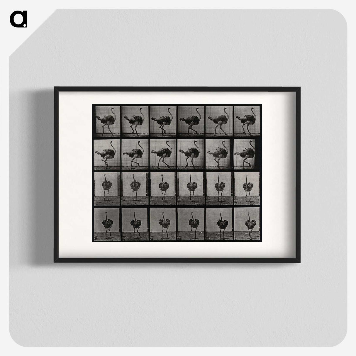 2-1_Eadweard-Muybridge_blk