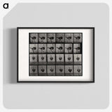2-1_Eadweard-Muybridge_blk