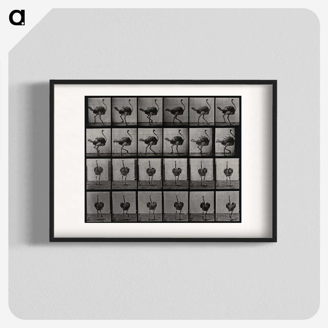 2-1_Eadweard-Muybridge_blk