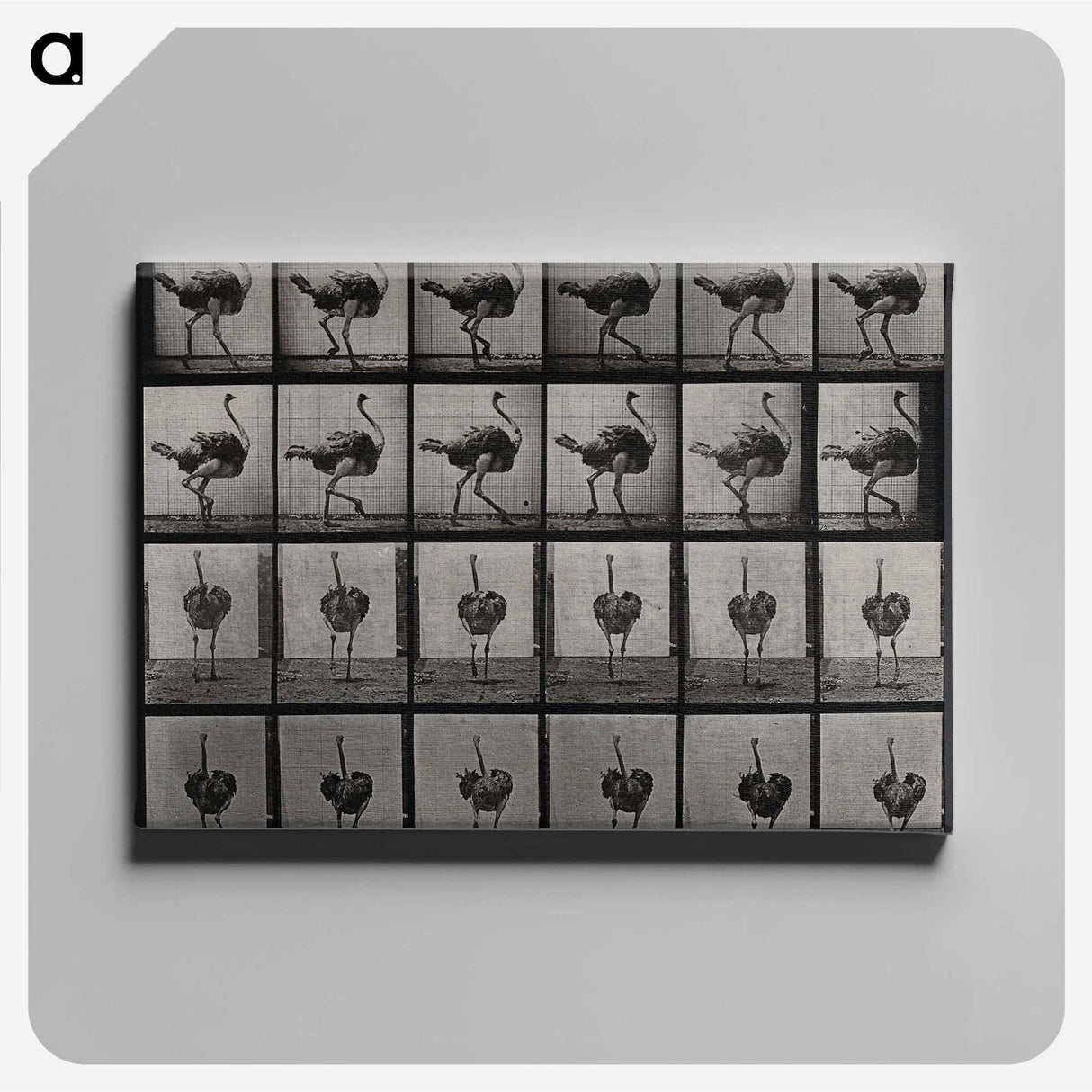 2-1_Eadweard-Muybridge_canvas