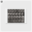 アートポストカード-Ostrich
 - エドワード マイブリッジ Postcard.