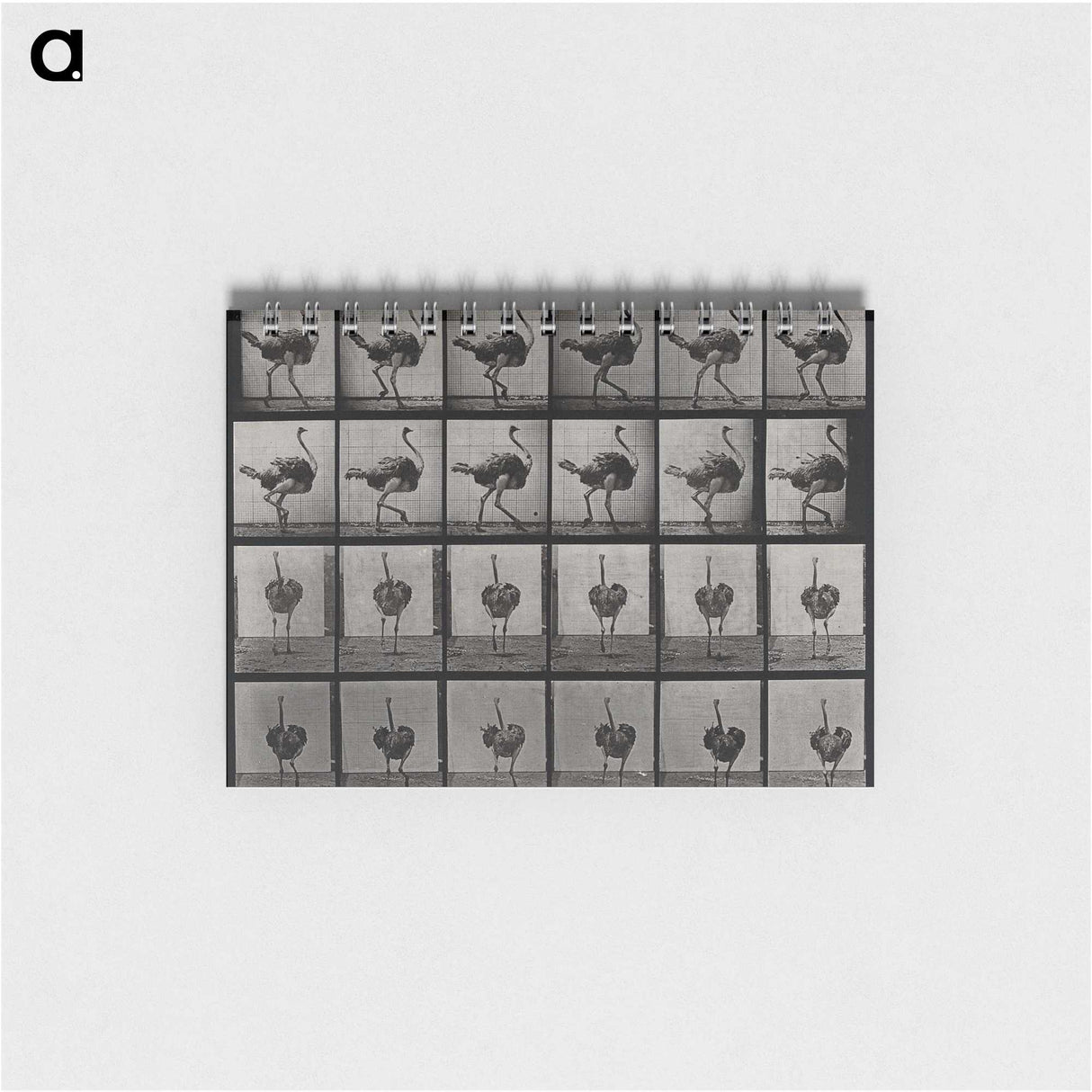 2-1_Eadweard-Muybridge_memo